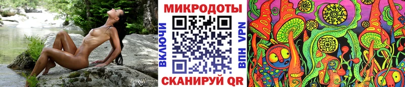 Псилоцибиновые грибы прущие грибы  Сосенский 